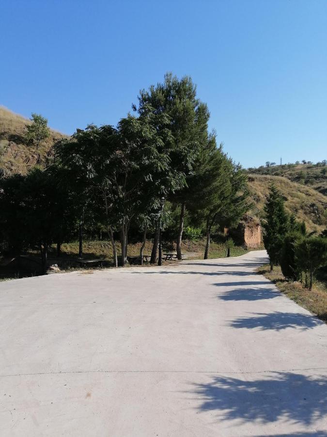 Apartamentos Rurales Camino Del Cid Castejón de las Armas Exterior foto