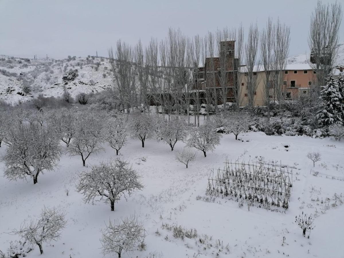 Apartamentos Rurales Camino Del Cid Castejón de las Armas Exterior foto
