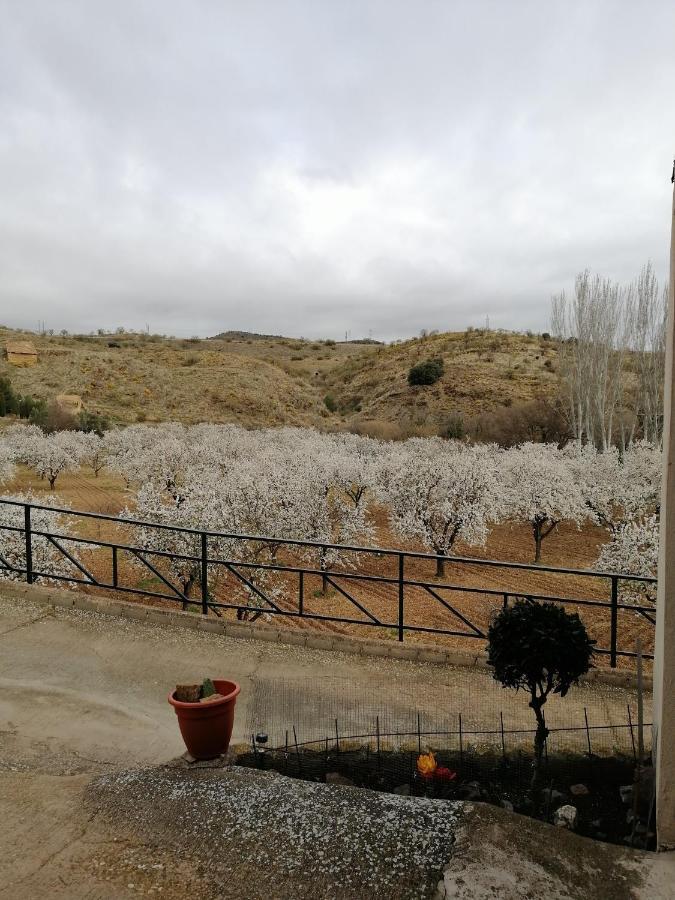 Apartamentos Rurales Camino Del Cid Castejón de las Armas Exterior foto