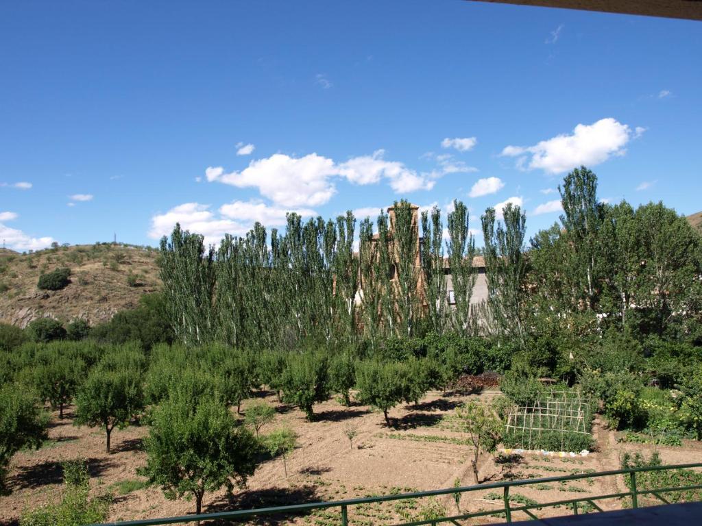 Apartamentos Rurales Camino Del Cid Castejón de las Armas Exterior foto